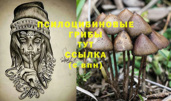 apvp Магадан