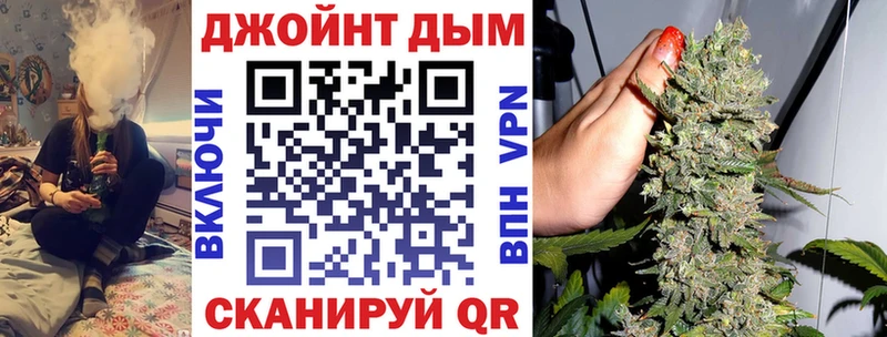 Бошки марихуана сатива  купить наркоту  Шагонар 